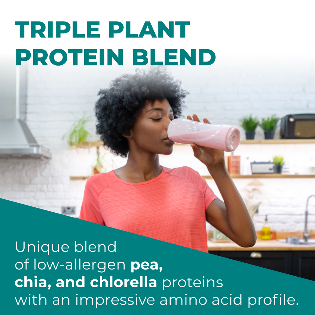 Chocolate Plant-Based All-In-One Shake 15 Servings